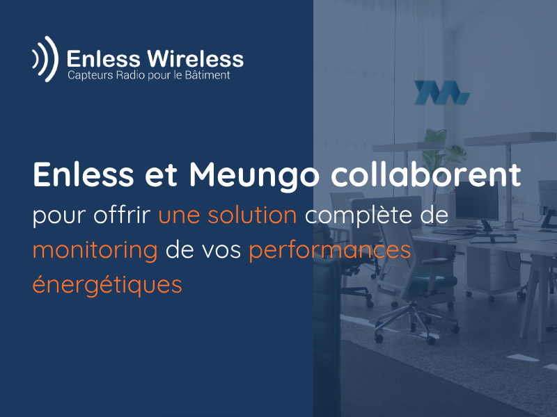 Enless et Meungo collaborent