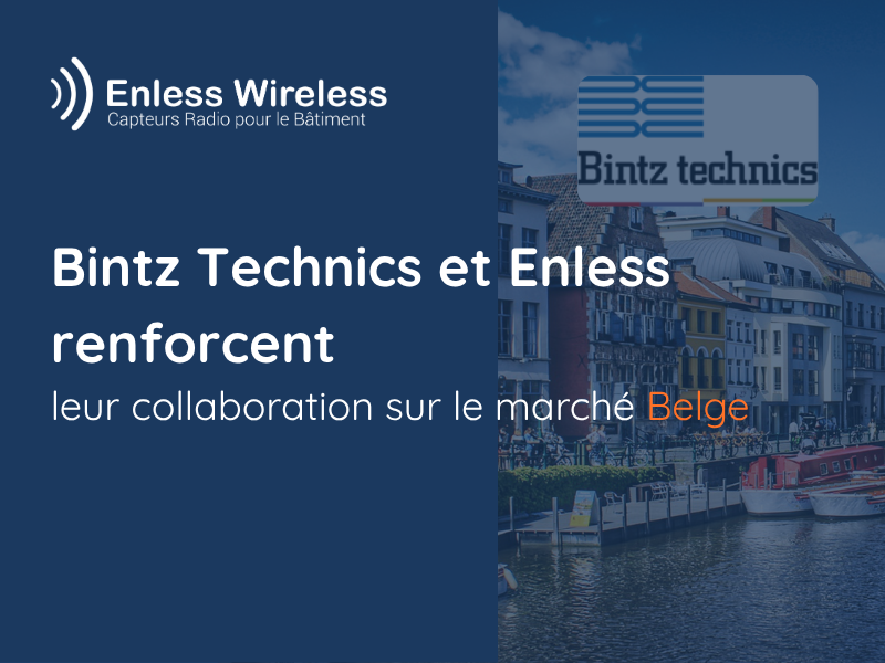 Bintz et Enless